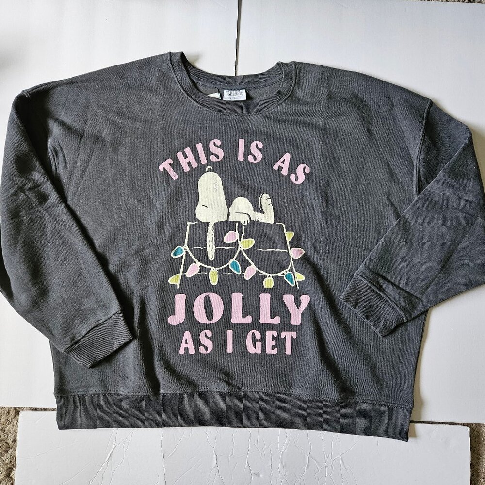 Christmas Snoopy Gray Graphic Sweatshirt Size XXL